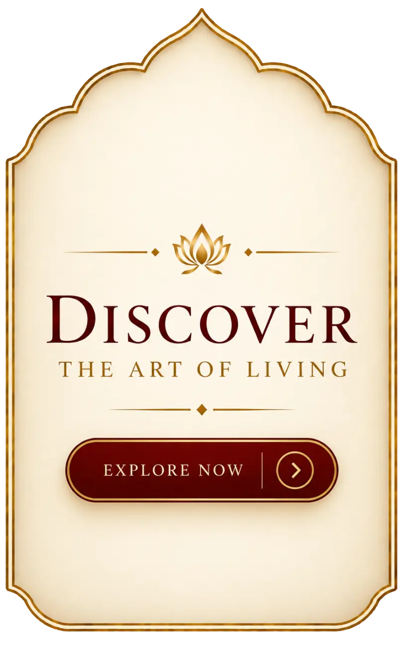 Explore All